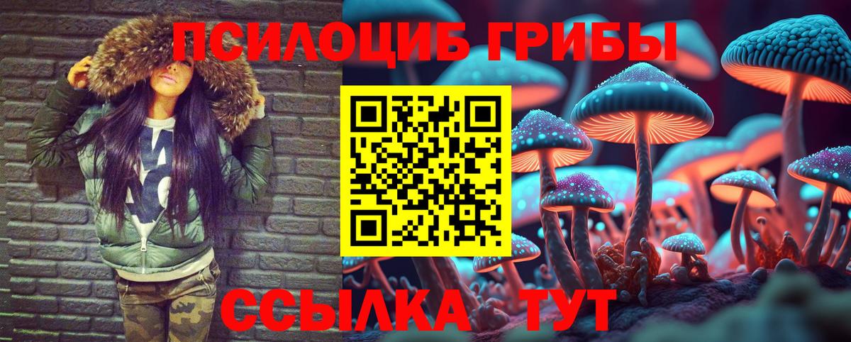 Узловая  Галлюциногенные грибы мицелий  Вход с VPN 
