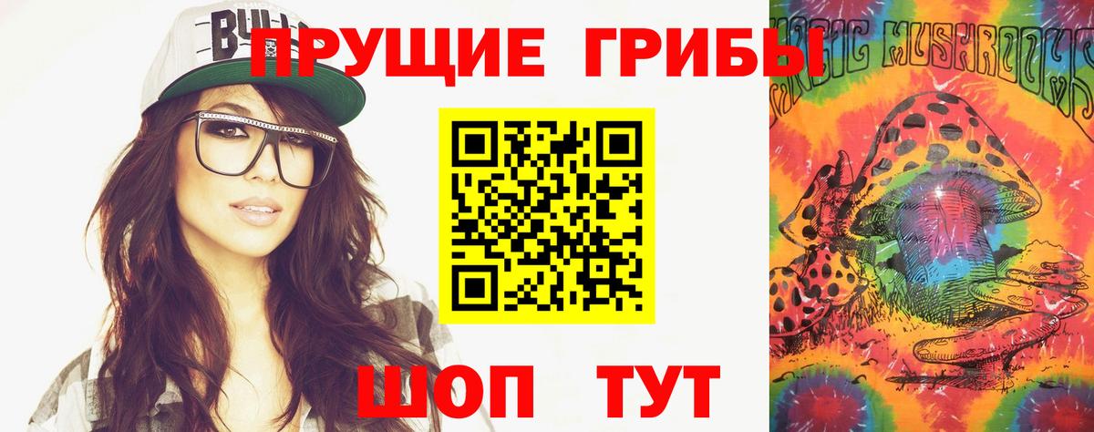 Галлюциногенные грибы Psilocybe Узловая